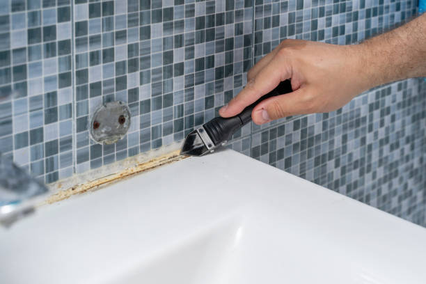 Best Fast Mold Removal  in Weston, WI