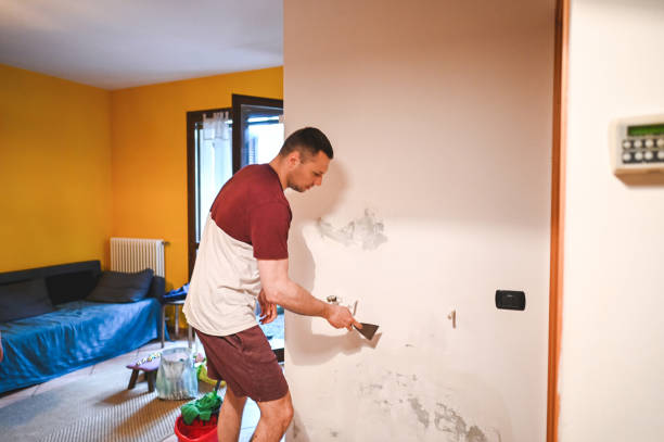 Best Mold Cleaning Services  in Weston, WI